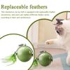 Interactive Cat Ball Interactive Obstacle Avoidance Exercise Toy Kitten Active Rolling Ball With Feathers For Small Cats Pets
