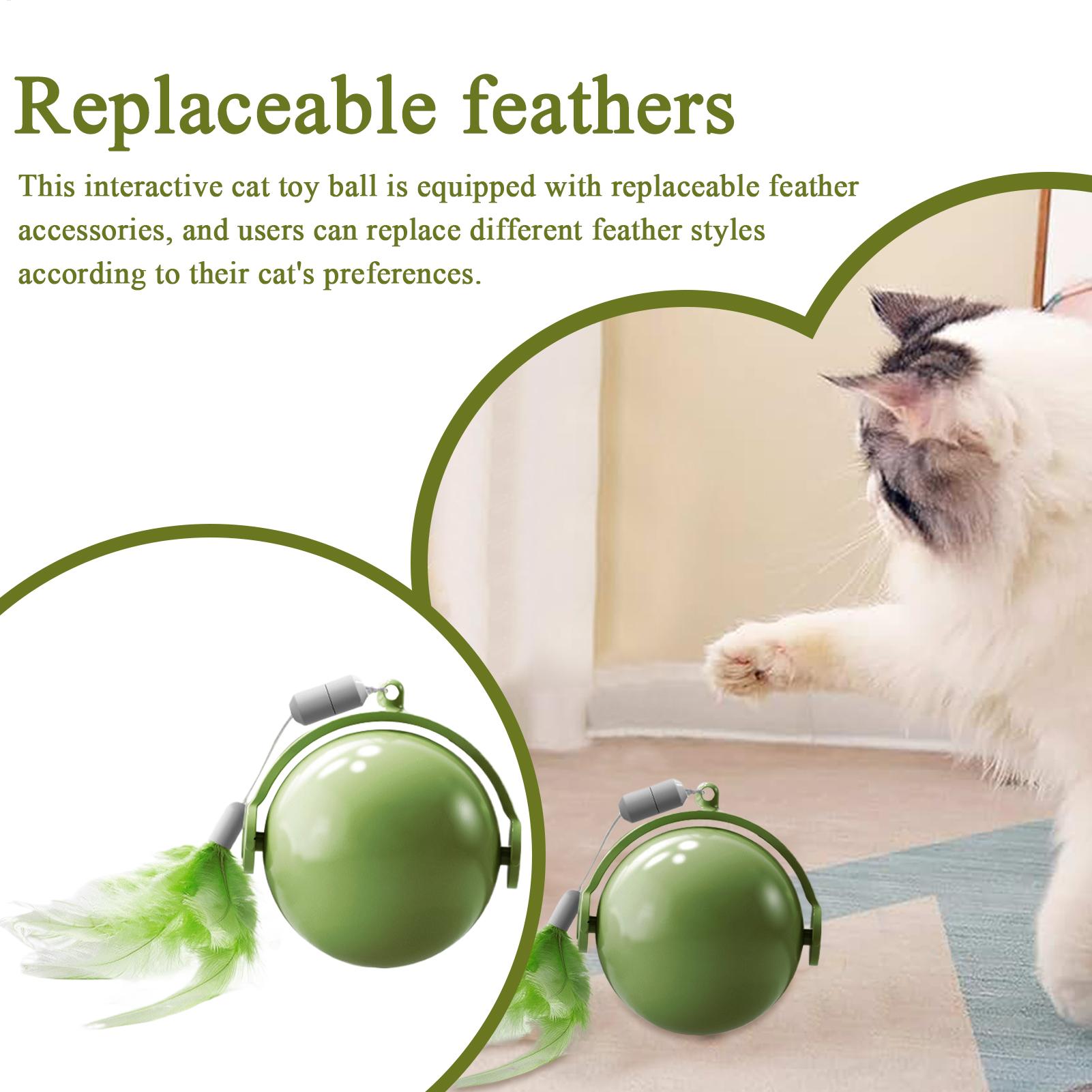 

Interactive Cat Ball Interactive Obstacle Avoidance Exercise Toy Kitten Active Rolling Ball With Feathers For Small Cats Pets China Mainland