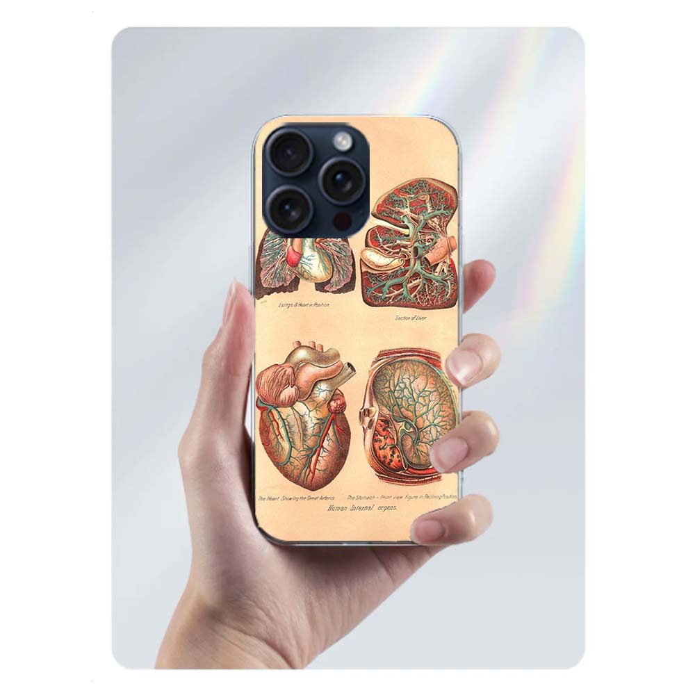 Medizinische menschliche Organe Gehirn Capa Handyhülle Für Iphone 17 Air 16 Pro Max 15 12 Pro 14 Plus 17E 16E 11 13 Mini Hüllen Fundas