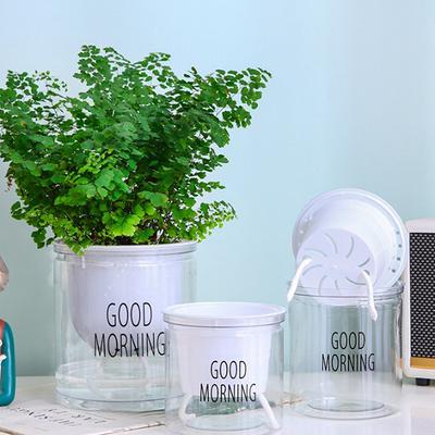 Bahçe Saksıları ve Kutuları – Fide viyolleri