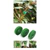 3 Rolls Green Garden Twine Plant Ties Nylon Plant Bandage Garden Hook Loop Bamboo Cane Wrap Support Garden Accessories
