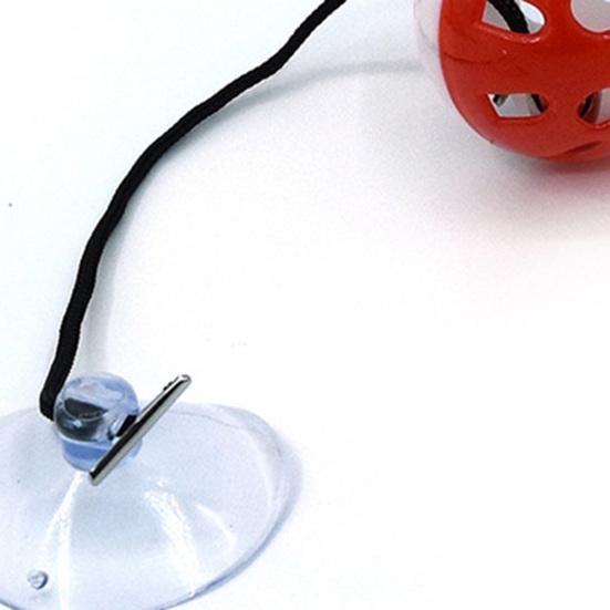 Bearded Dragon Toy with Suction Cup and Rope Exercise Game Colored Bell Ball Toy Reptile Toy for Small Animals