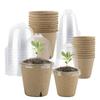1 Set Planting Pots Set With Drainage Holes For Succulents Indoor Outdoor Garden Nursery Planter Flower Pots Garden Supply