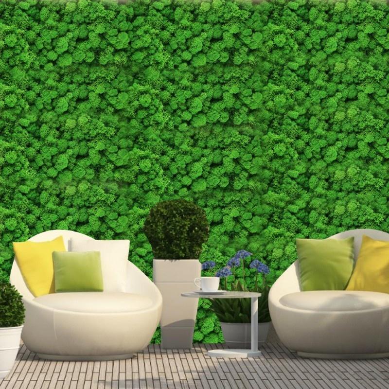 D5 Preserved Decorative Moss Natural For Home Decorations Model Making Fake Moss Background Wall Immortal Simulated Green Plants