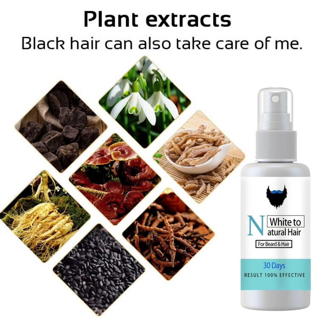 Polygonum Multiflorum shampooing noircissant cheveux blancs soin cheveux blancs teints cheveux noirs shampooing Essence végétale
