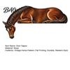 Rustic Home Ornaments Western Horse Wooden Door Topper Decor, 2D Printed Frame Vintage Interior Wood Craft Ornament, Top Shelf Decoration for