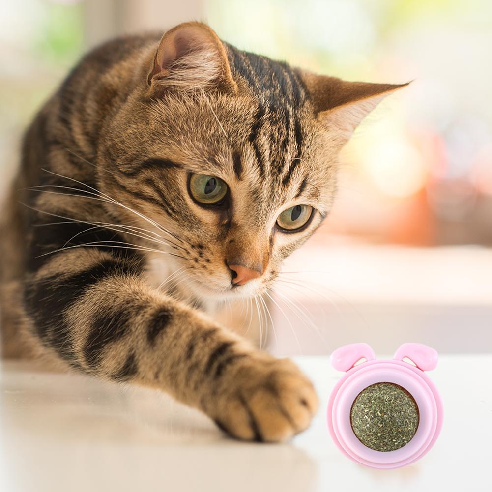 Plastic Catnip Energy Ball Natural Safe Dog Head Shape Catnip Wall Balls for Cats Teeth Cleaning Replaceable Pet Health Supplies