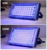 European & American Standard LED UV Floodlight, 395nm Ultraviolet Stage/Fluorescent Light with Switch & Plug Wire for Curing