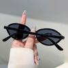Vintage  Small Frame Oval Sunglasses Women For Men Luxury Brand Designer Popular Punk Fashion Outdoor Leopard Shades Uv400