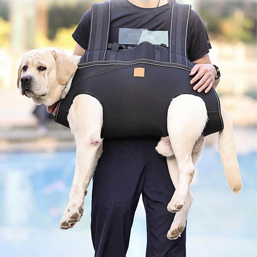 Senior Dog Harness Dogs Leg Support Breathable Adjusable Sling For Mobility Daily Walking Movement Senior Care Assisted Living