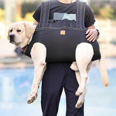 Senior Dog Harness Dogs Leg Support Breathable Adjusable Sling For Mobility Daily Walking Movement Senior Care Assisted Living