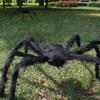 1 Pcs Animal Halloween Decor Super Big Plush Spider For Party Special Halloween Decorations Wholesale