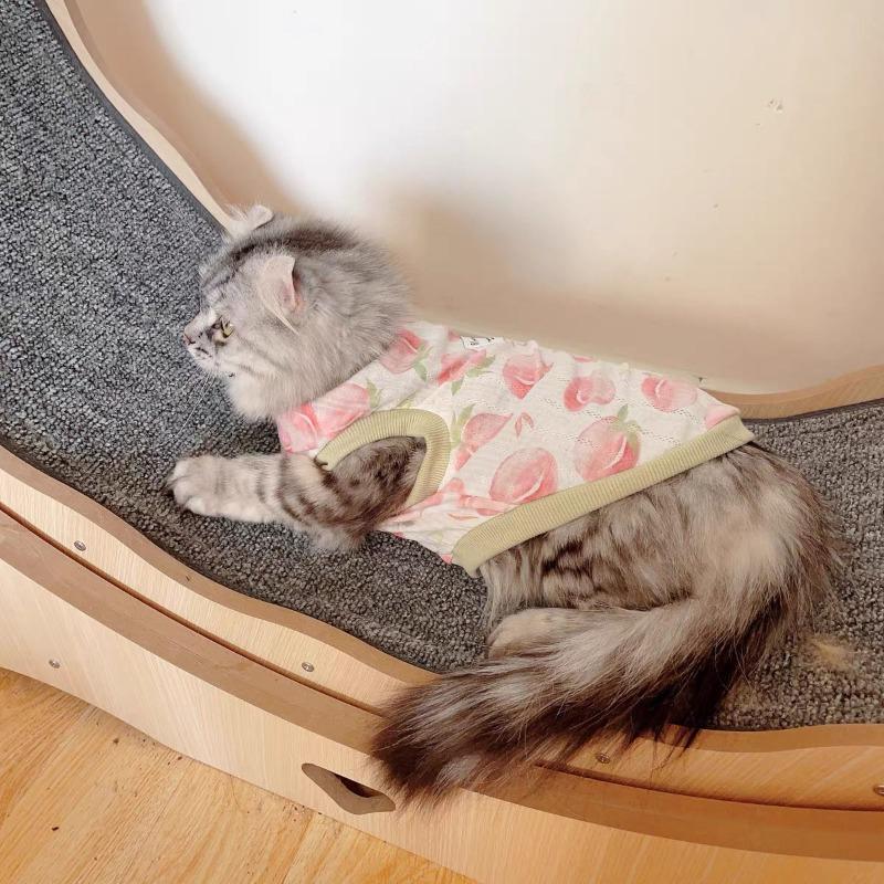 

Одежда для питомцев летняя тонкая кошачья майка с рисунком против выпадения шерсти померанский шпиц медвежонок тедди дышащая майка без рукавов XS bust 30cm about 1 kg