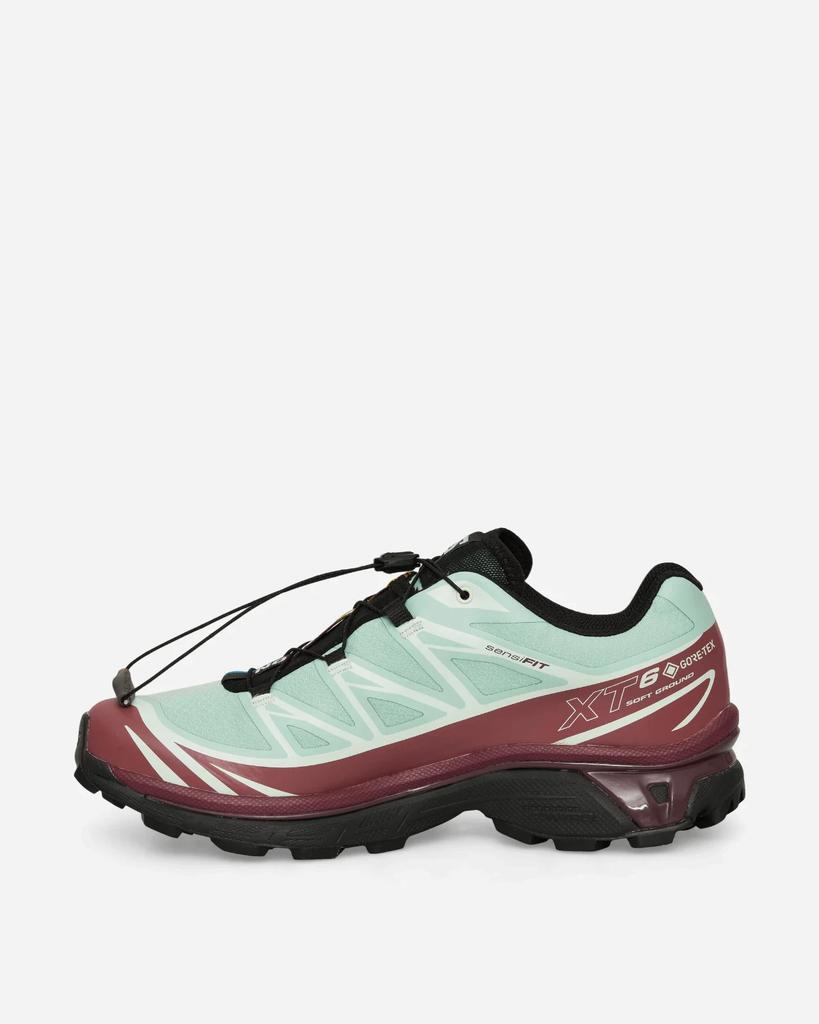 L49306700 Salomon XT-6 GORE-TEX "Lichen/Nocturne" (Men's)