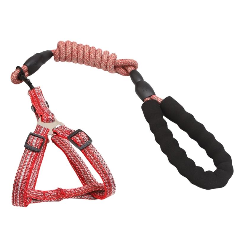 Dog Leash Slip Belt Leash Harnesses Rope Long Pet Strong Training Walking Swimming Belt Soft Handle