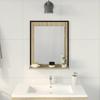 Bathroom Mirror with Shelf Black 50 x 12 x 60 cm