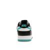 Nike Dunk Low Black Dusty Cactus Unisex Sneakers White DV0833-109