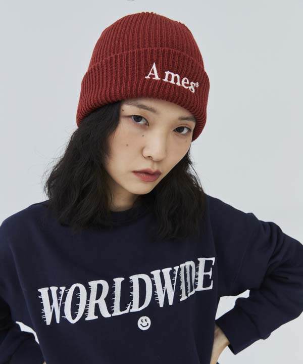 AMES-WORLDWIDE Basic Logo Beanie Brick