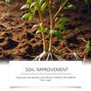 Plant Nutrient Drops, Fertilizer For Potted Plants, Daily Maintenance Solution For Plant Root, 100ml