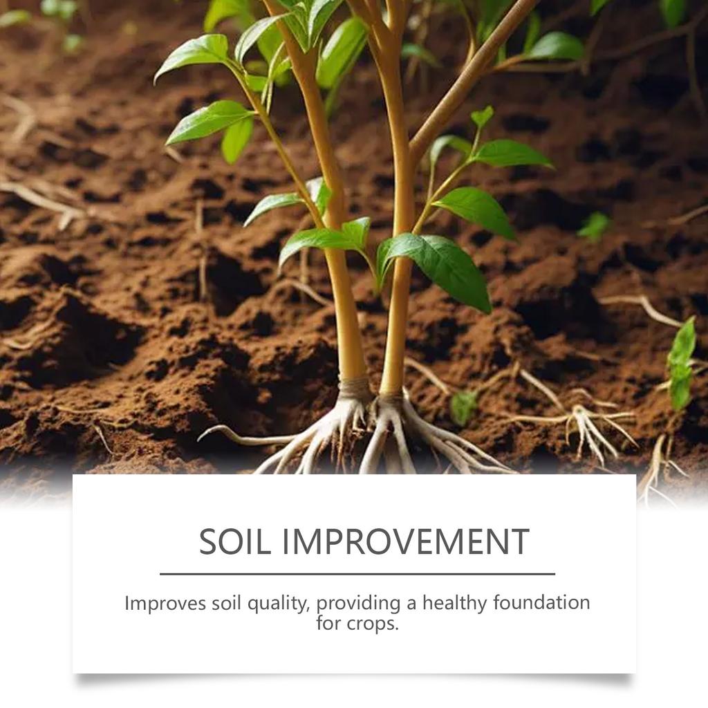 Plant Nutrient Drops, Fertilizer For Potted Plants, Daily Maintenance Solution For Plant Root, 100ml
