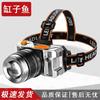 Multi-functional Outdoor LED Lighting
