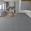 Versatile Carpet Tiles for Office, Study, Salon, Gym, Hotel, and More