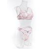 Cross-Border European & American Lace Embroidered Underwire Bra Set