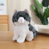 Cute simulation cat doll plush toy cute kitten doll children soothing rag doll birthday gift