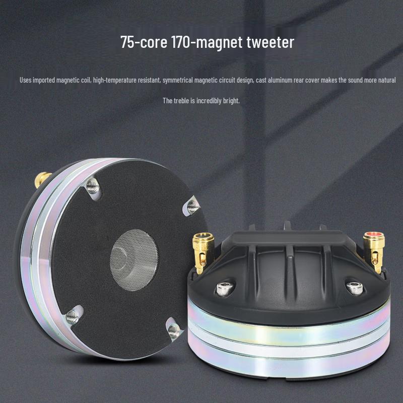 HIKVISION DS-QAOLP60014 Dual 10-inch Line Array Speaker CN Plug (adapter Included)