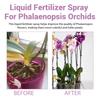 Spray Booster Fioritura Orchidee 100ml - Concime Professionale per Orchidee, Nebulizzazione Nutriente per la Crescita delle Foglie, Supporta lo Sviluppo Sano della Pianta