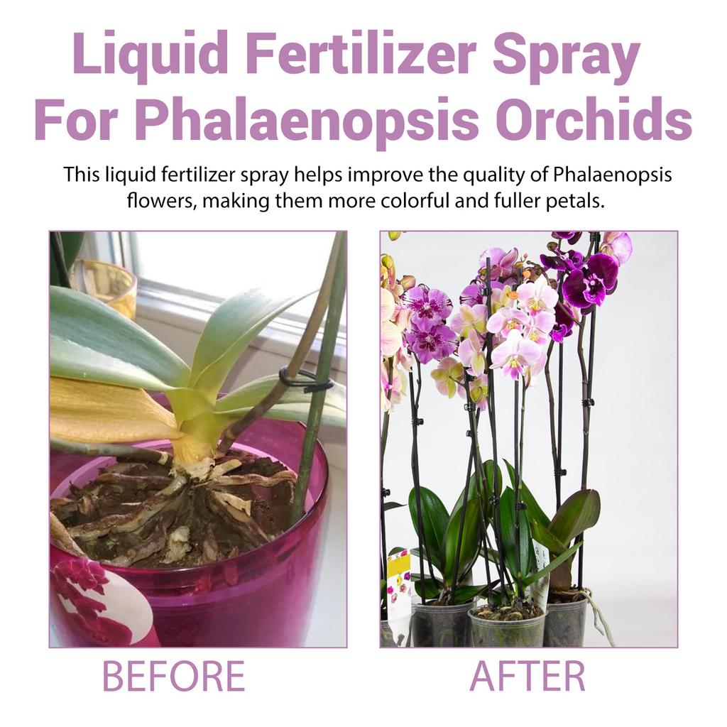 Spray Booster Fioritura Orchidee 100ml - Concime Professionale per Orchidee, Nebulizzazione Nutriente per la Crescita delle Foglie, Supporta lo Sviluppo Sano della Pianta