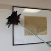 Azuma Feather Duster 60, 62cm Long, Gently Removes Dust, Made with Bird Tail Feathers, AG714