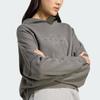 Adidas Originals Washed FW25 Cropped Logo Hoodie Women hoodies JW7296