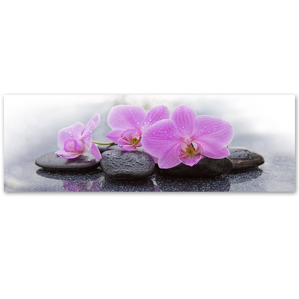 Canvas Print, Pink Orchids and Stones