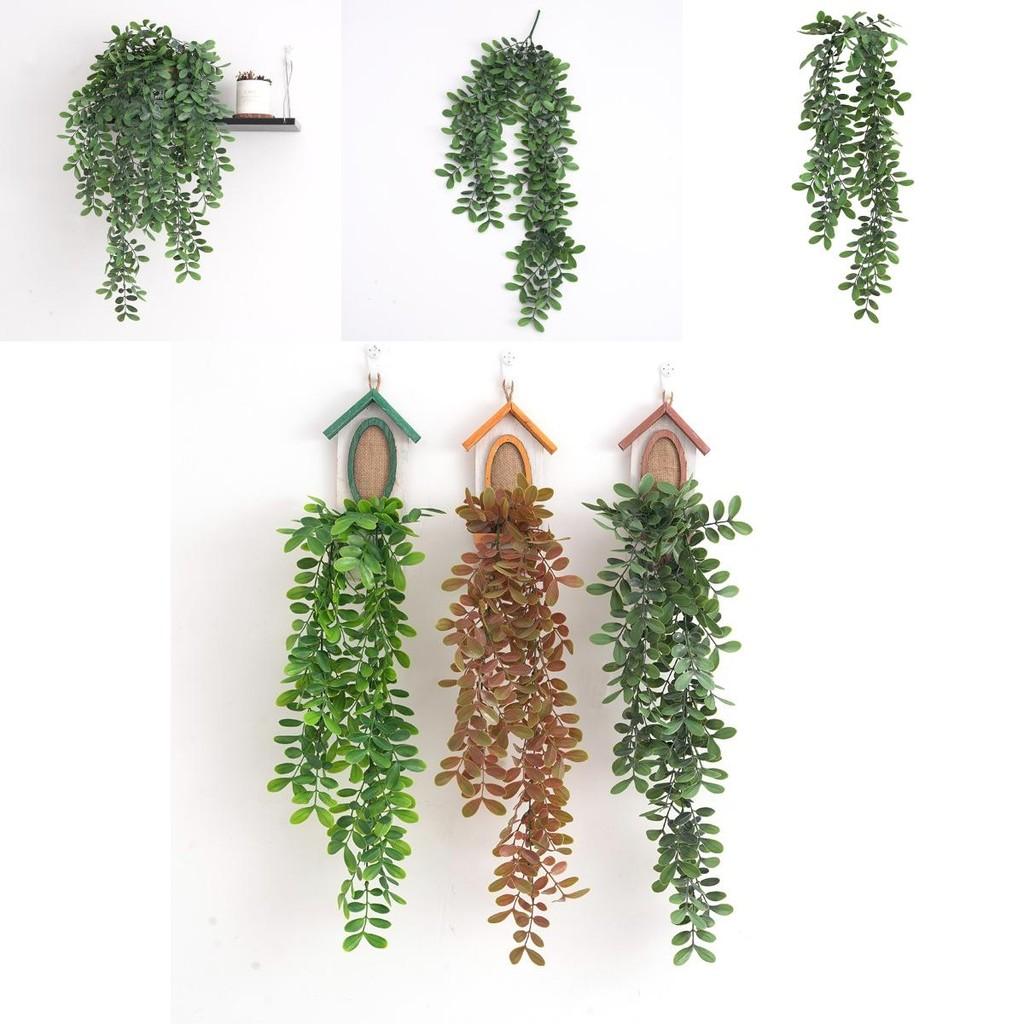 Wall Hanging Green Common Bowringia Plant With Three Color Faux Vine For Home Decor And Living Room