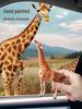 Playhouse Simulation Animal Model Toys for Early Education, Ages 1-3+ - Ideal Birthday Gift for Boys and Girls.