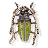 1PC Vintage Big Beetle Insect Brooch Enamel Animal Badge Corsage Pins Gift