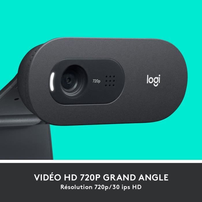 LOGITECH - C505 HD Webcam - USB HD 720p - Mikrofon mit großer Reichweite - Kompatibel mit PC oder Mac - Grau Schwarz