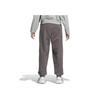 adidas Essentials Fleece Pants Charcoal Women IM8853