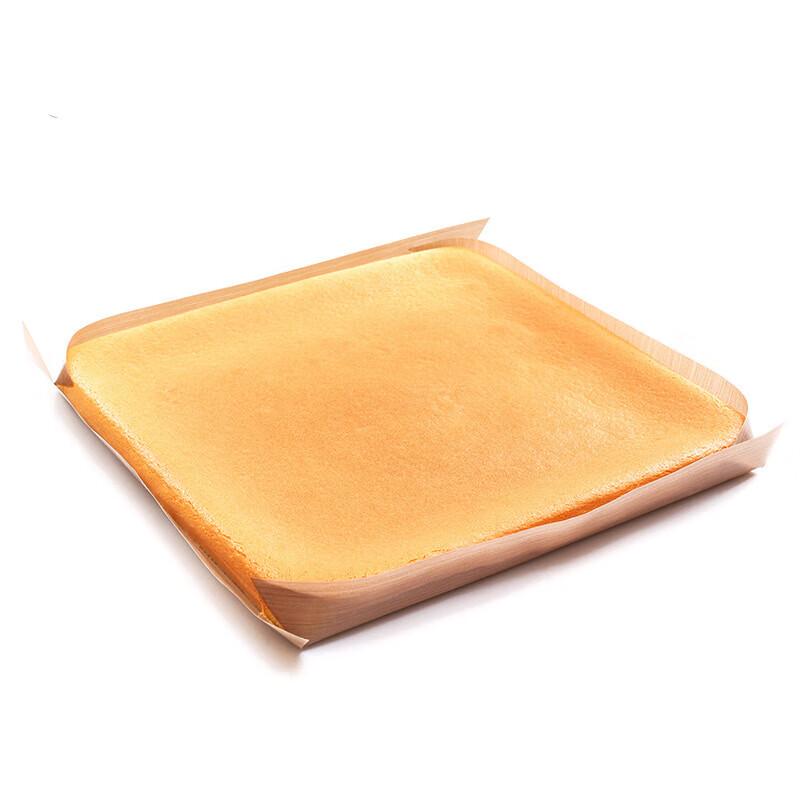 Paibei Non-stick High-Temperature Baking Mat