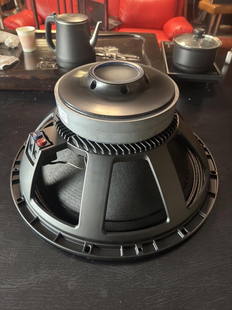 12/15/18 Inch High Power Mid-Bass Subwoofer with 280 Magnet & 125 Voice Coil for Outdoor Performance
