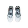 Li Ning Spark Coverage Low top Casual Shoes Women's AGLR092-6