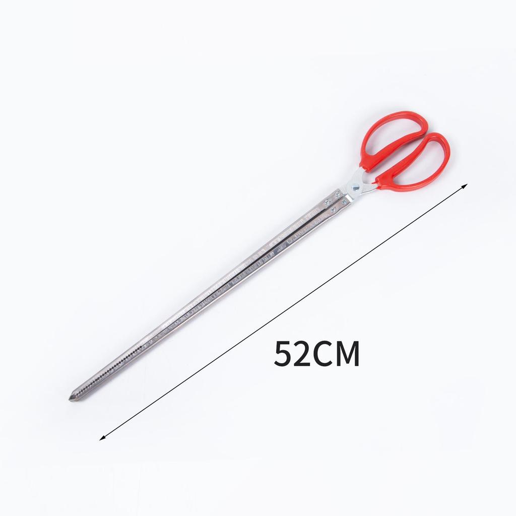 Stainless Steel Eel & Fish Grabbing Pliers - Loach & Beach Combing Tool Clamp