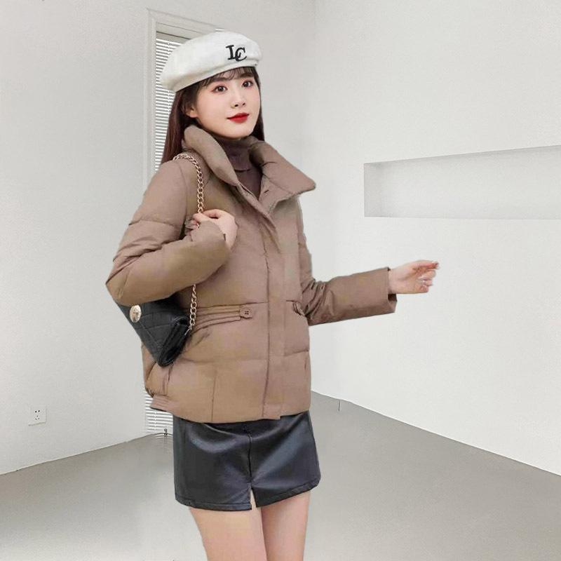 Down jacket women's high-end women's short models 2024 new winter women's clothing stand-up collar warm duck down women