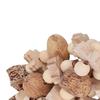 Beech Wood Wooden Chewing Toy Nut Grinding Texture Hanging Hanging Bird Toy Beak Grinding Interactive Play