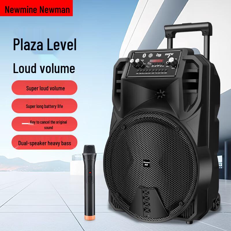 Newmine Portable Outdoor KTV Bluetooth Speaker