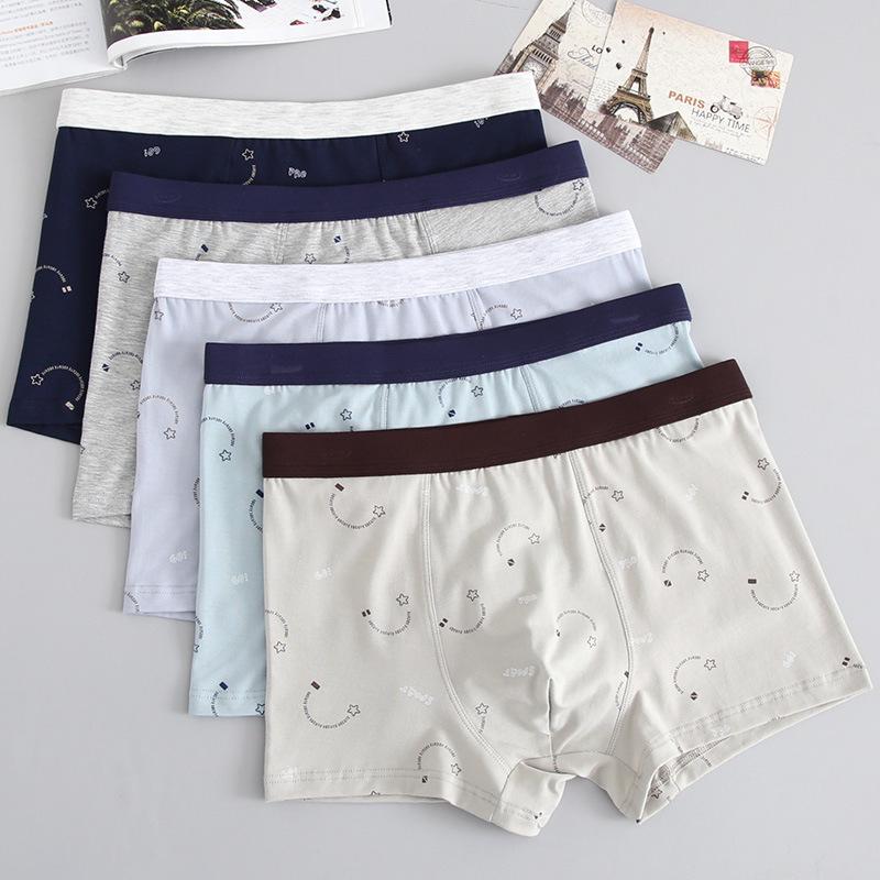 Sexy Herrenunterwäsche aus Baumwolle, atmungsaktiv, mit Aufdruck, Übergröße, flache Unterhose für Männer, mittlere Taille, lockere Passform, dicke Kerle, Jugendliche, Höschen mit vier Ecken