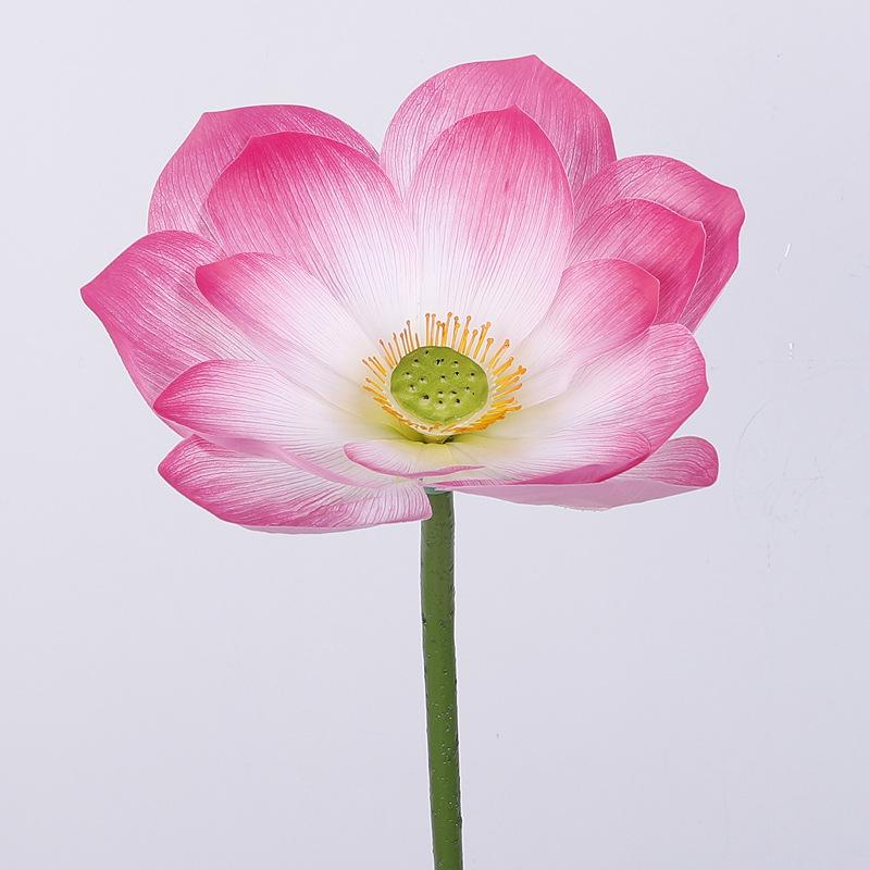 Explosive simulation 3D lotus plant lotus leaf false lotus pod ornament pool photography prop