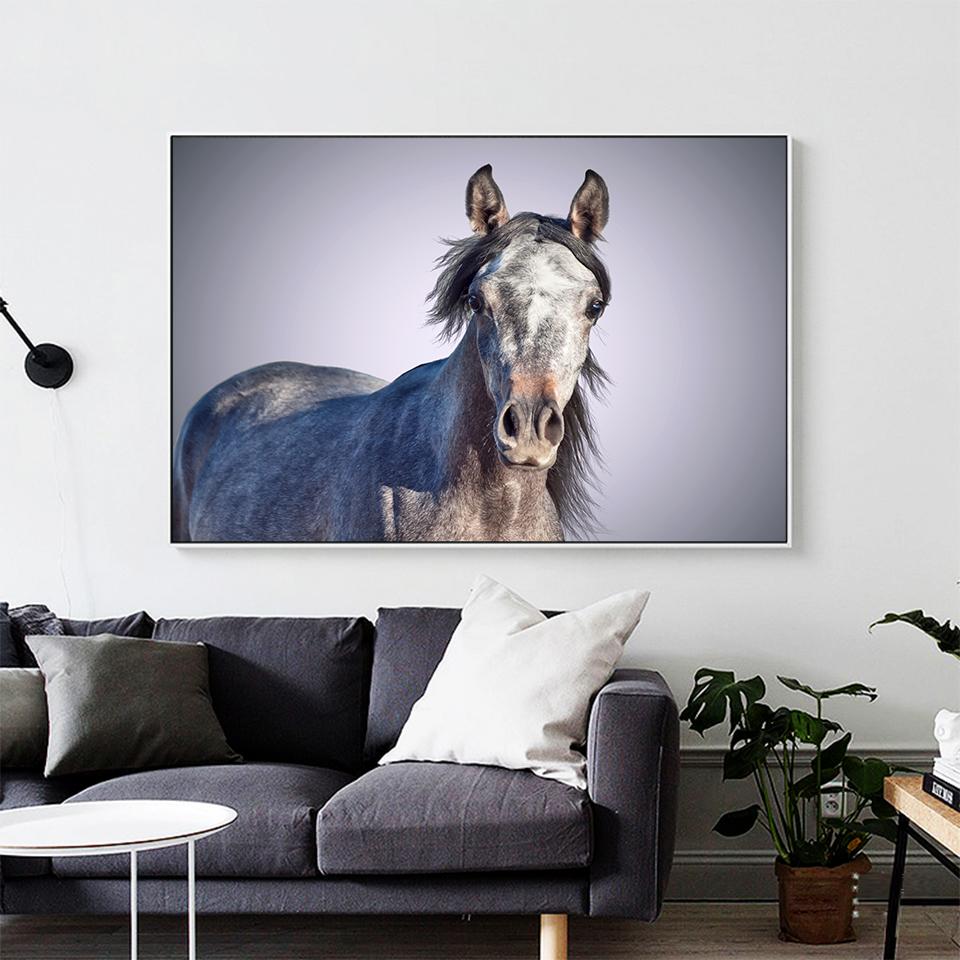 DIY 5D Diamond Painting Animal Horse Rhinestone Pictures Cross Stitch Kit Full Diamond Embroidery Mosaic Gifts Home Decor