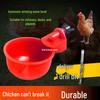 Automatic Poultry Drinker & Feeder Bowl for Chickens, Ducks, Geese, and Pigeons - Thickened New Model